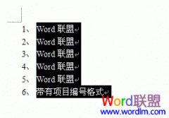 Word2003ȡĿŸʽ